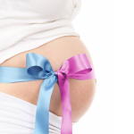Gender-reveal-3d-4d-living-images-fort-walton